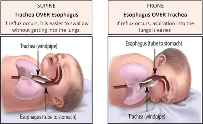 Image National Institute Child Health Human Development NICHD