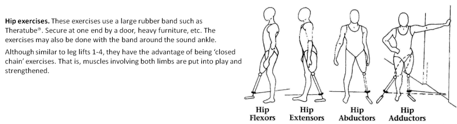 lower extremity amputee exercises hip